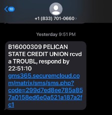 Phishing Text Scam screenshot